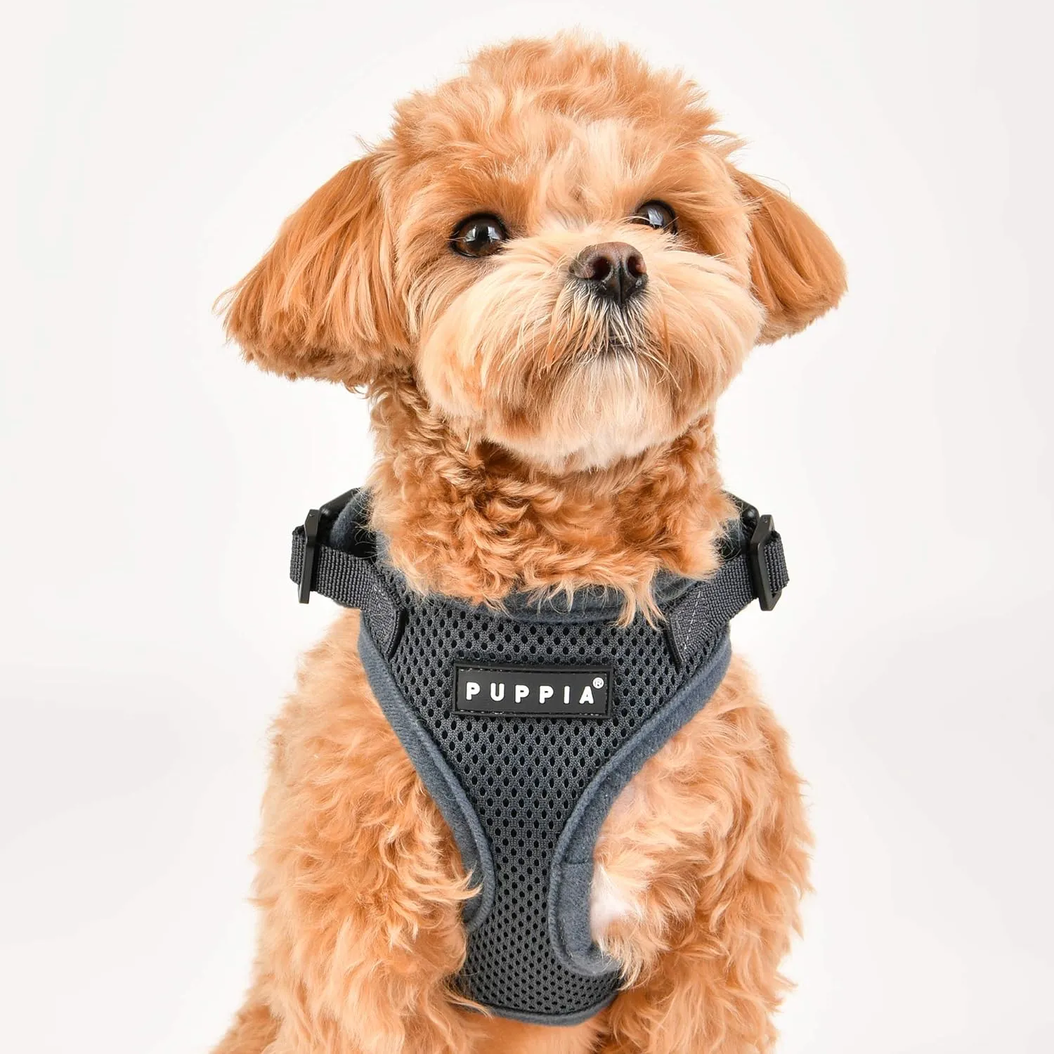 Authentic Puppia RiteFit Harness with Adjustable Neck, Pink, Small