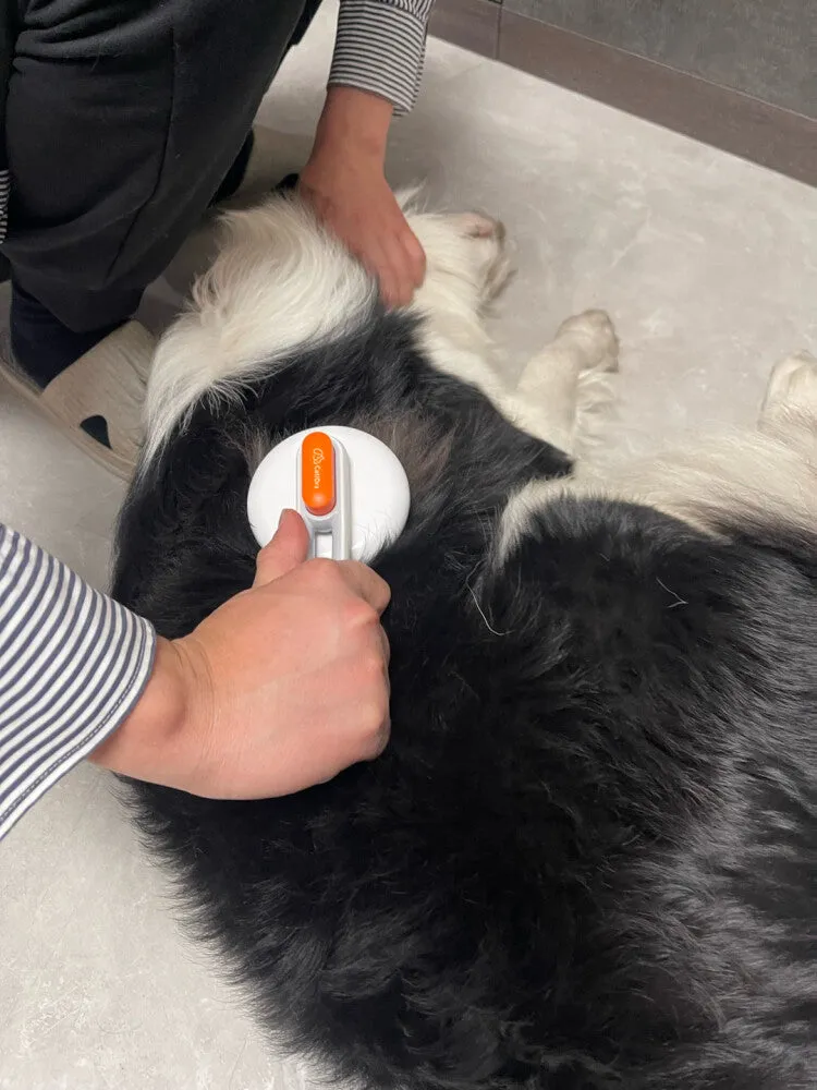 catiorz Pet brush,Self-Cleaning Brush Comb Pet Cat Dog Grooming Long Short Hair