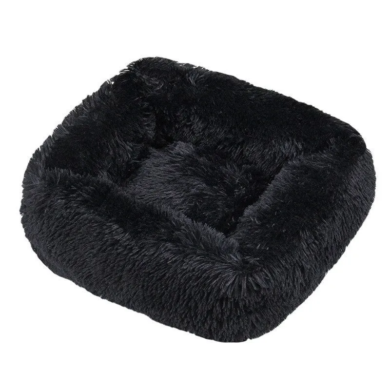 Cats Cushion Portable