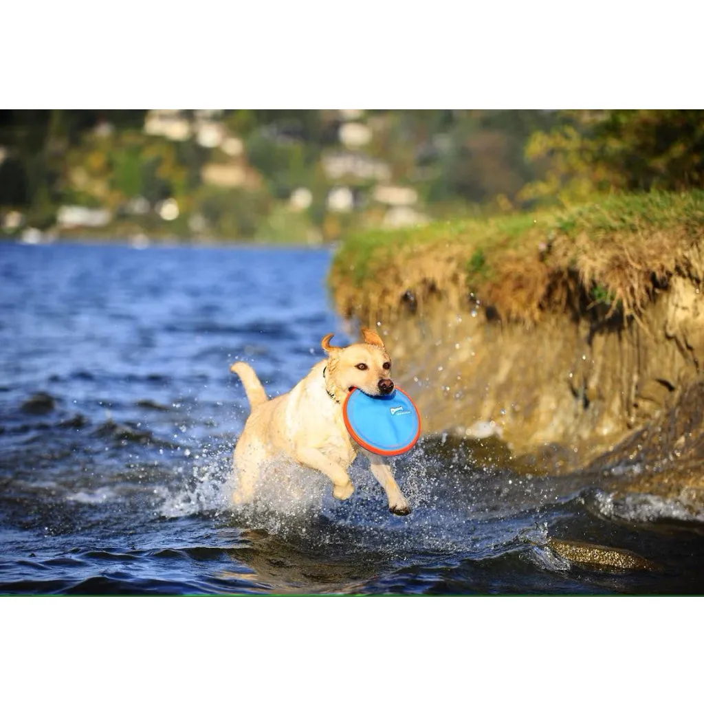 Chuckit! Paraflight Toy for Dogs