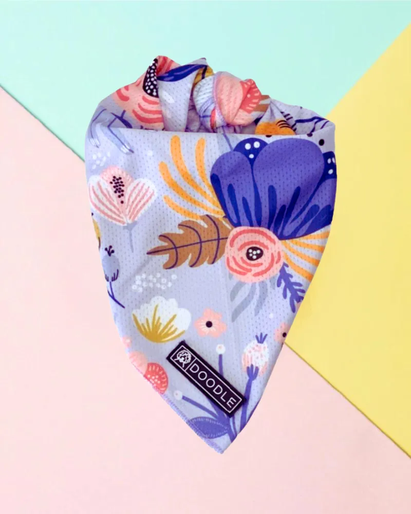 Cooling Dog Bandana in Bloom (FINAL SALE) (SUM24LO)