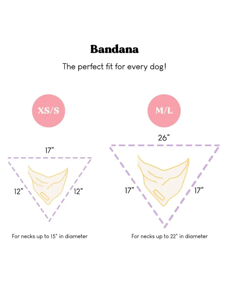 Cooling Dog Bandana in Bloom (FINAL SALE) (SUM24LO)