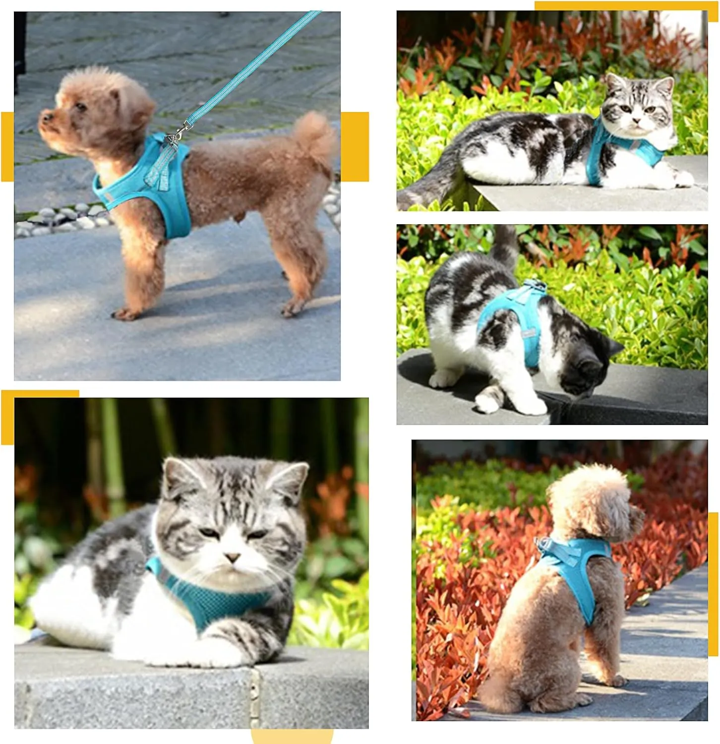 Dog Harness and Leash Set,Step in Dog Vest Harness for Cat and Puppy, Reflective Pet Harness No Pull for Small Dog,Medium Dog,Kitten and Rabbit,Breathable Mesh(Blue S)