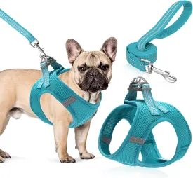 Dog Harness and Leash Set,Step in Dog Vest Harness for Cat and Puppy, Reflective Pet Harness No Pull for Small Dog,Medium Dog,Kitten and Rabbit,Breathable Mesh(Blue S)