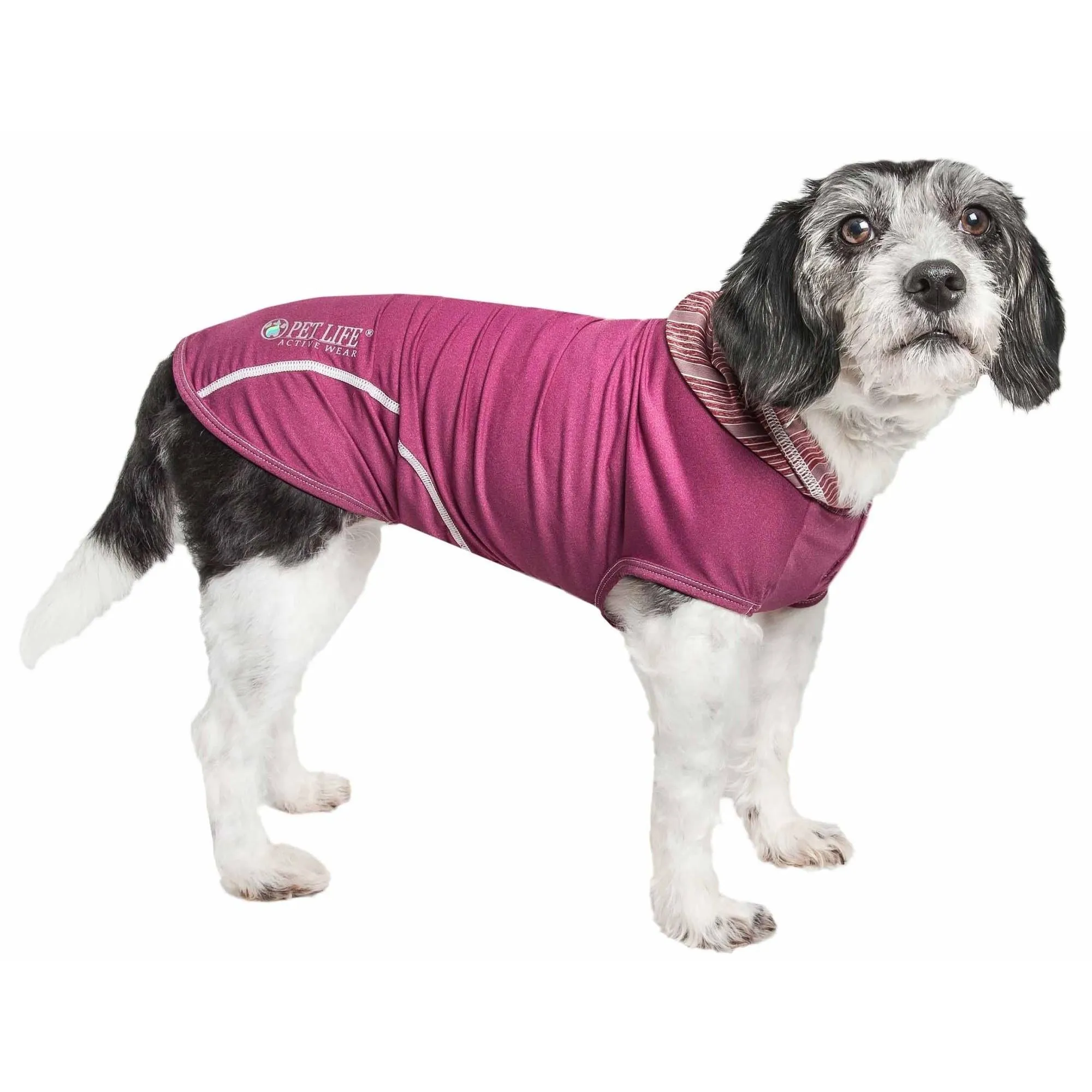 Dog tank top hoodie