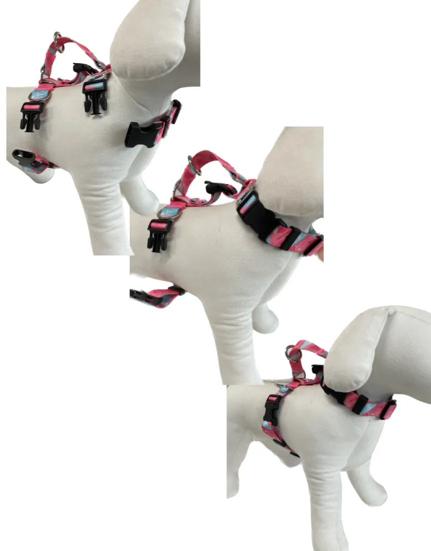 Double-Lined Adjustable No-Pull Dog Harness S Sweet Green
