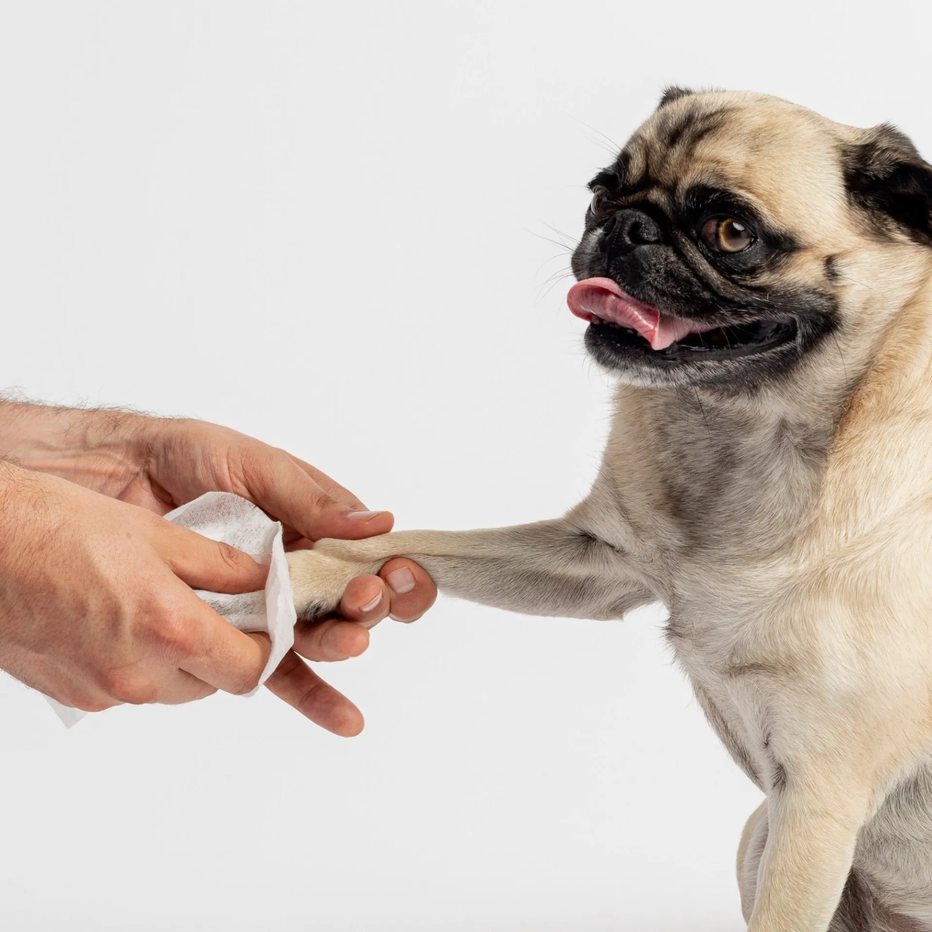 Fragrance Free Pet Wipes