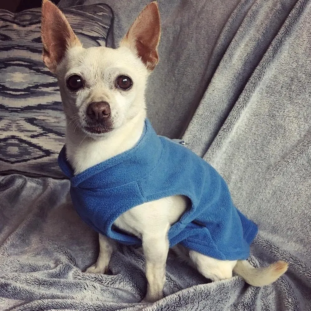 Gooby - Fleece Vest, Small Dog Pullover Fleece Jacket with Leash Ring, Blue, Medium