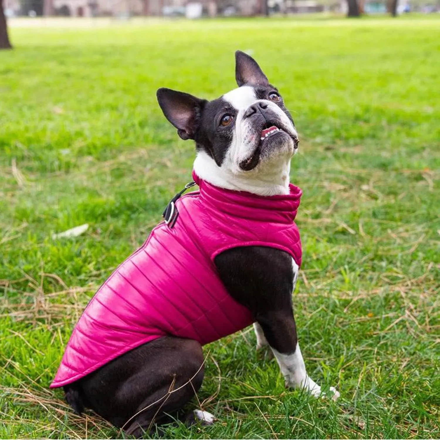 Gooby Puffer Vest Dog Jacket - Pink, Large - Ultra Thin Zip Up Wind Breaker with Dual D Ring Leash - Water Resistant Small Dog Sweater Coat - Dog Clothes for Small Dogs Boy or Medium Dogs,Classic