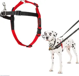 HALTI Front Control Harness - To Stop Your Dog Pulling on the Leash. Adjustable, Lightweight and Easy to Use. Anti-Pull Dog Training Harness for Medium Dogs (Size M)