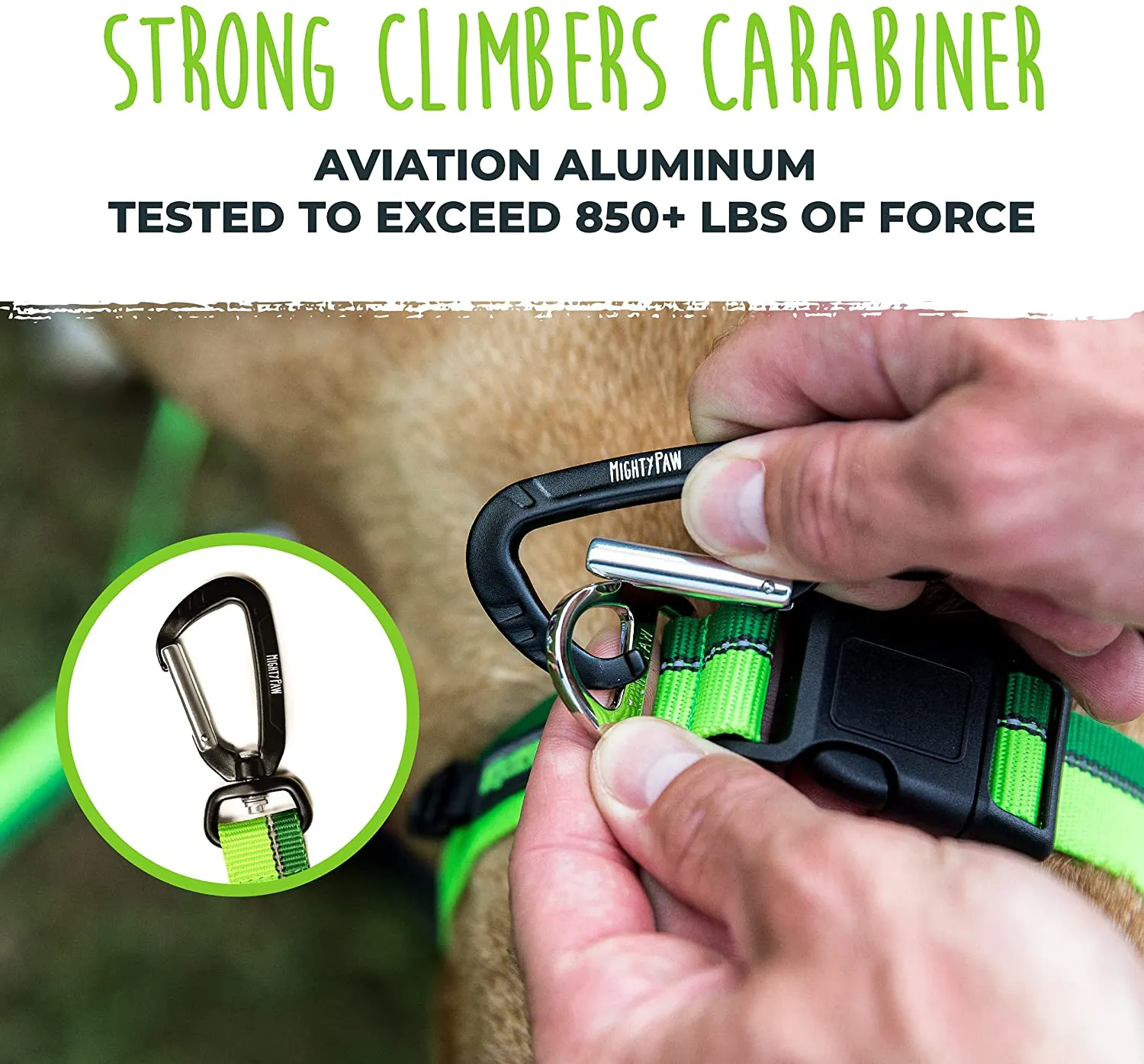 HandleX2 Dual Handle 6' Dog Leash (2.0) with Neoprene Padding & Carabiner Clip