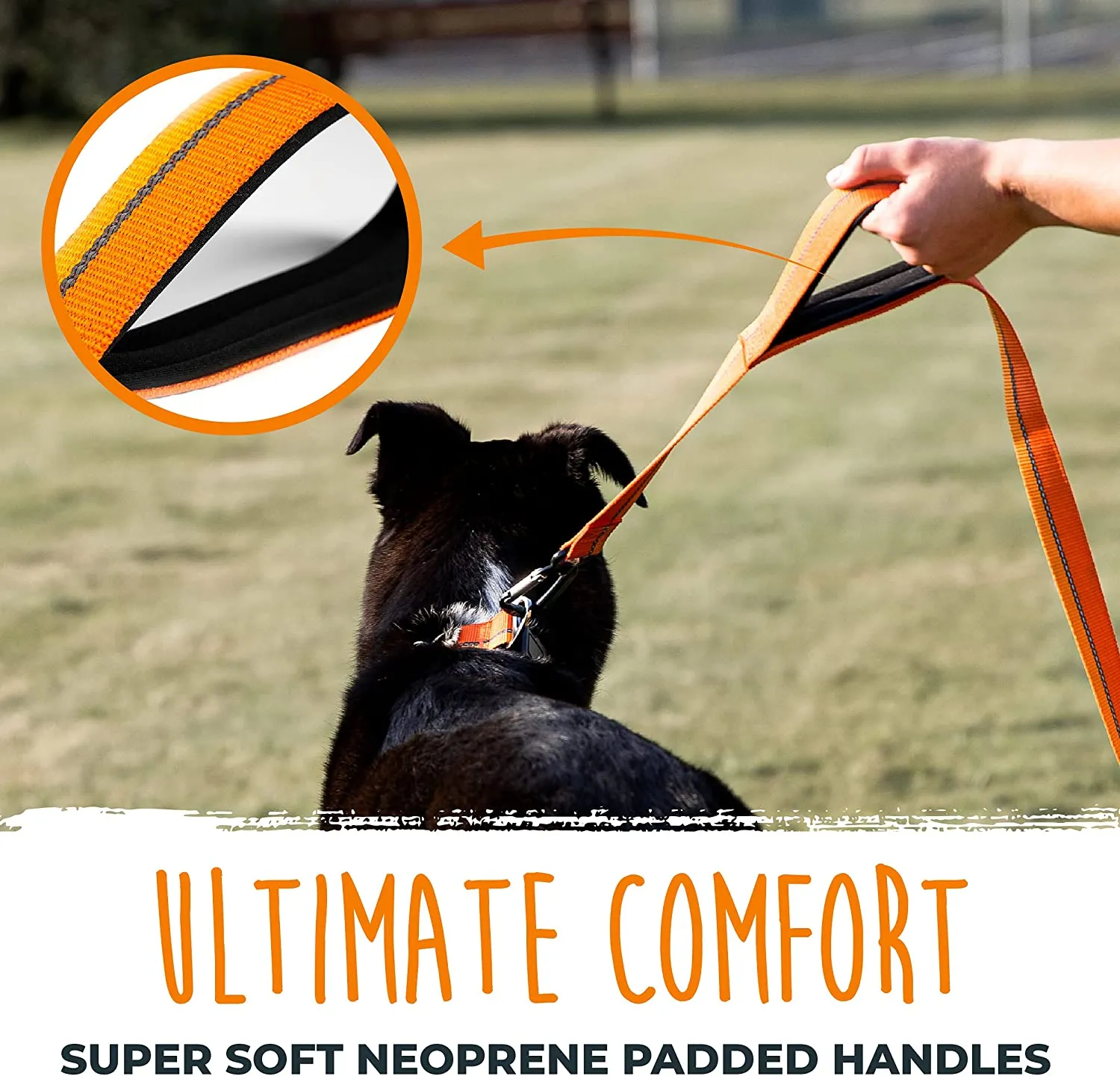 HandleX2 Dual Handle 6' Dog Leash (2.0) with Neoprene Padding & Carabiner Clip