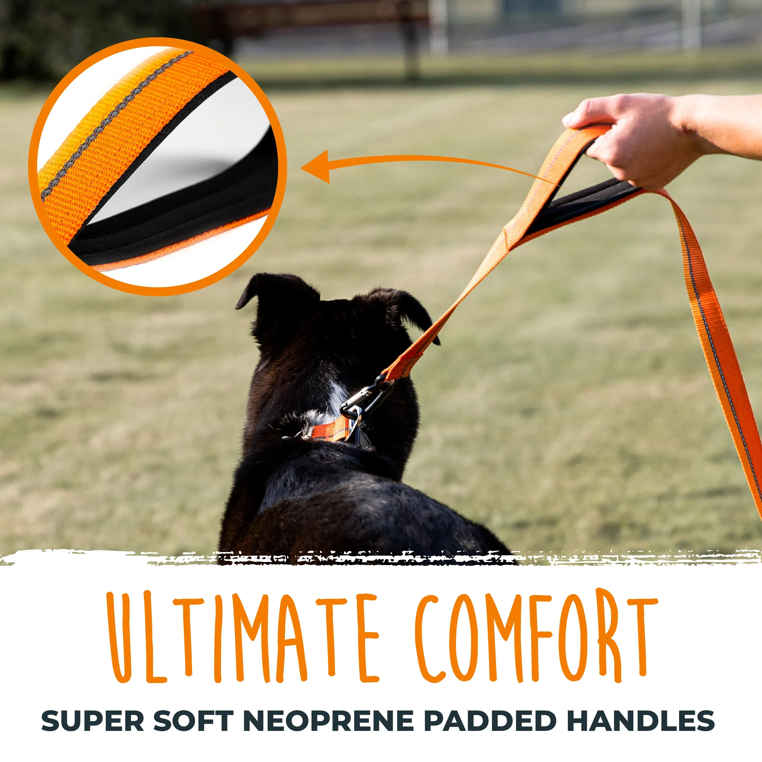 HandleX2 Dual Handle 6' Dog Leash (2.0) with Neoprene Padding & Carabiner Clip