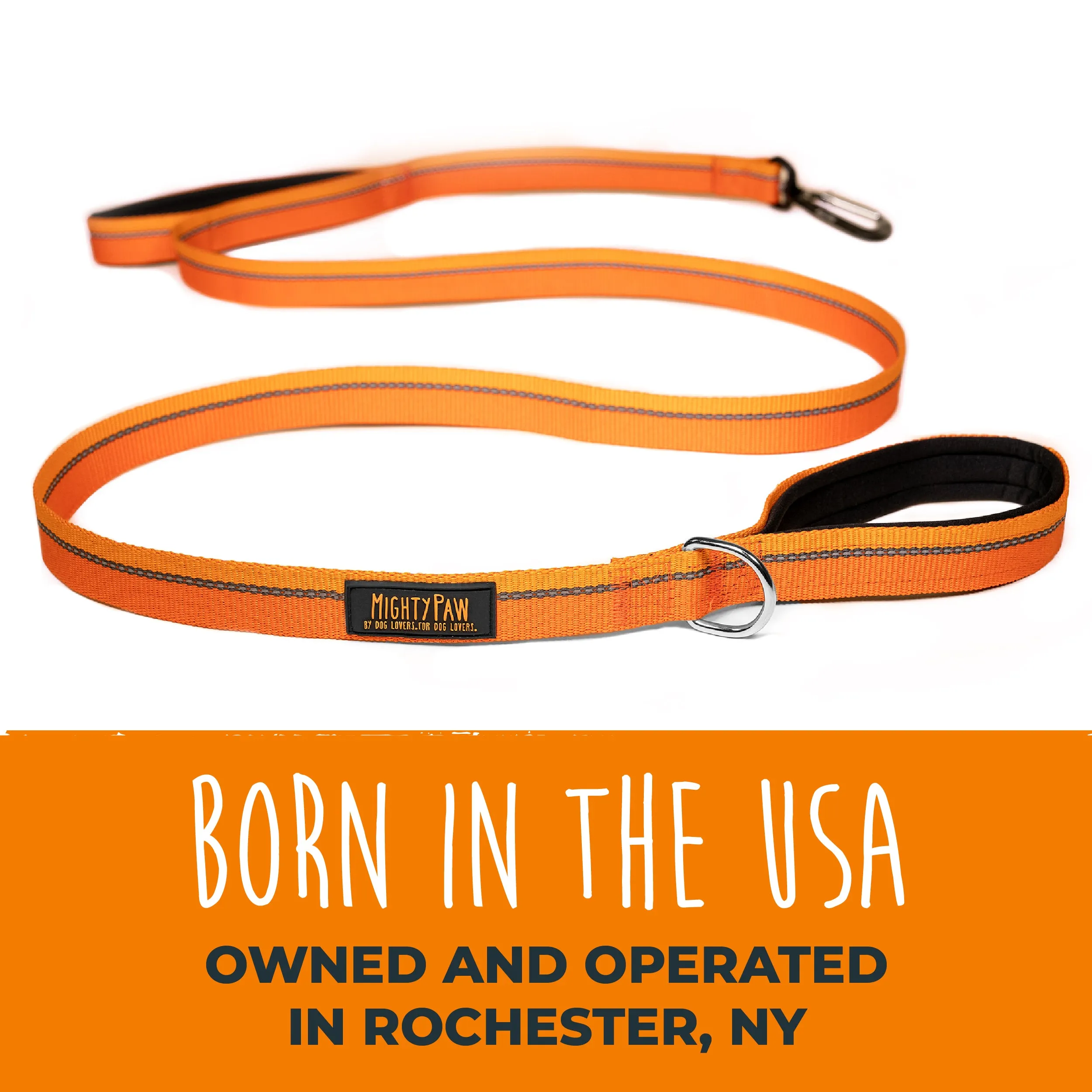 HandleX2 Dual Handle 6' Dog Leash (2.0) with Neoprene Padding & Carabiner Clip