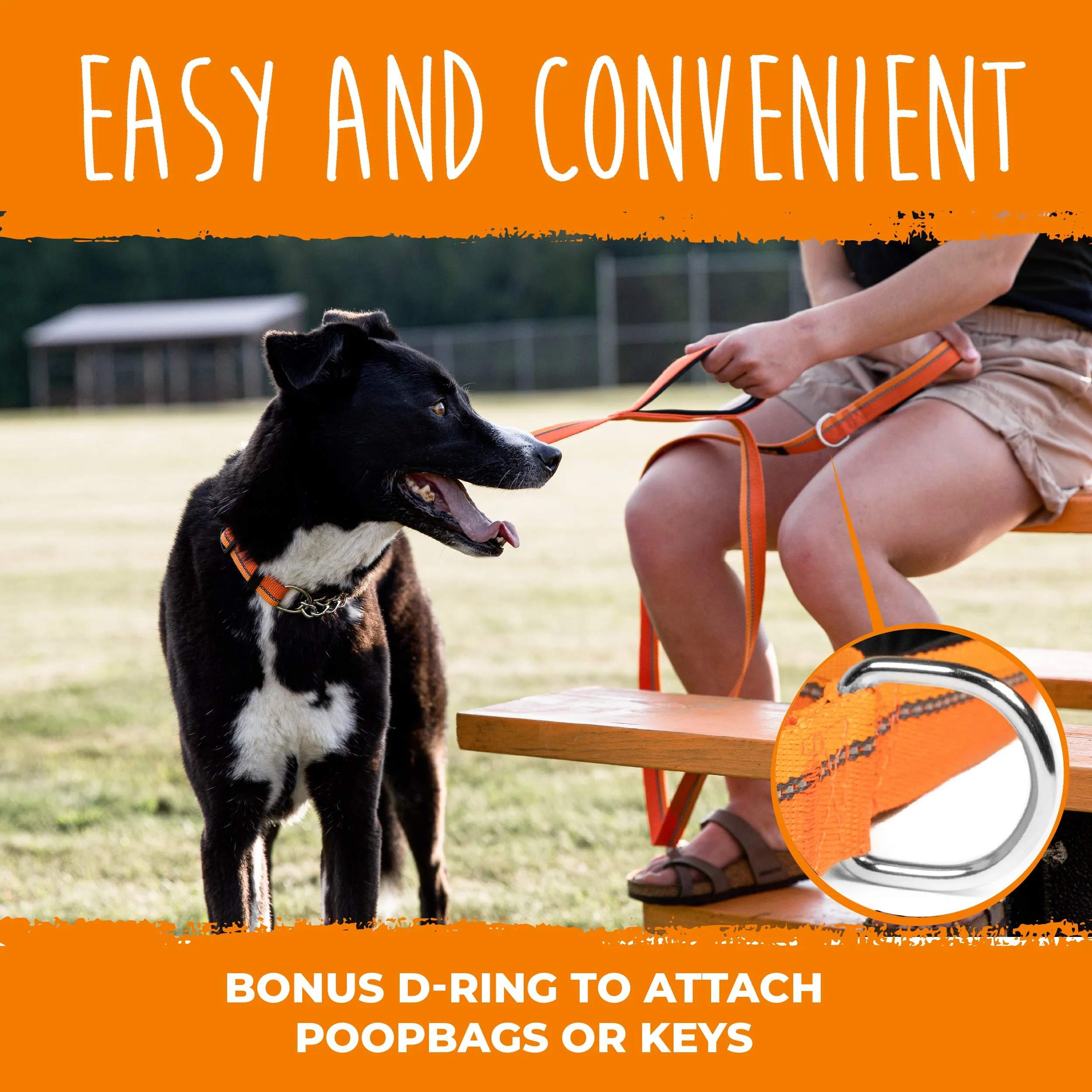 HandleX2 Dual Handle 6' Dog Leash (2.0) with Neoprene Padding & Carabiner Clip