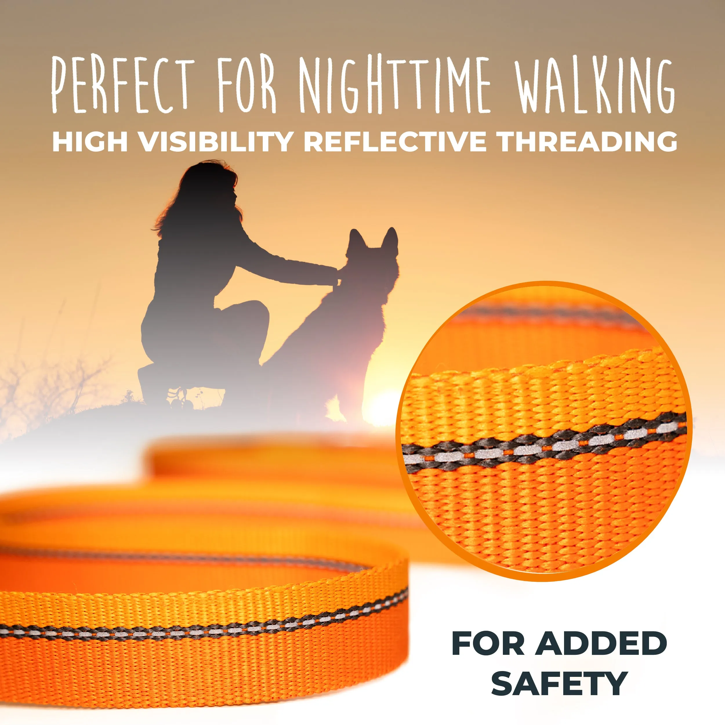 HandleX2 Dual Handle 6' Dog Leash (2.0) with Neoprene Padding & Carabiner Clip