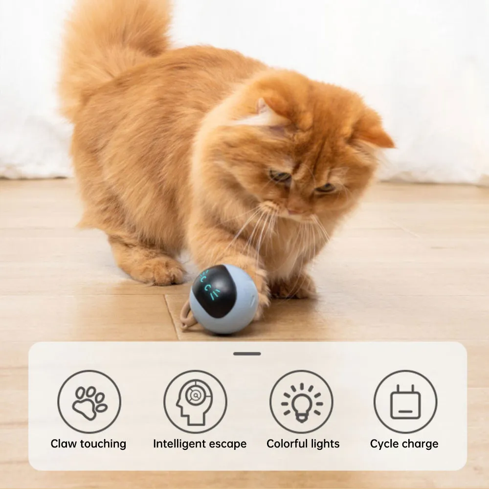 Interactive and Engaging Toy for your Cat or Kitten Electronic Ball