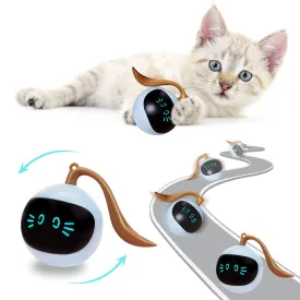 Interactive and Engaging Toy for your Cat or Kitten Electronic Ball