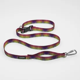 Jammin Dragon Skin Everyday Leash™