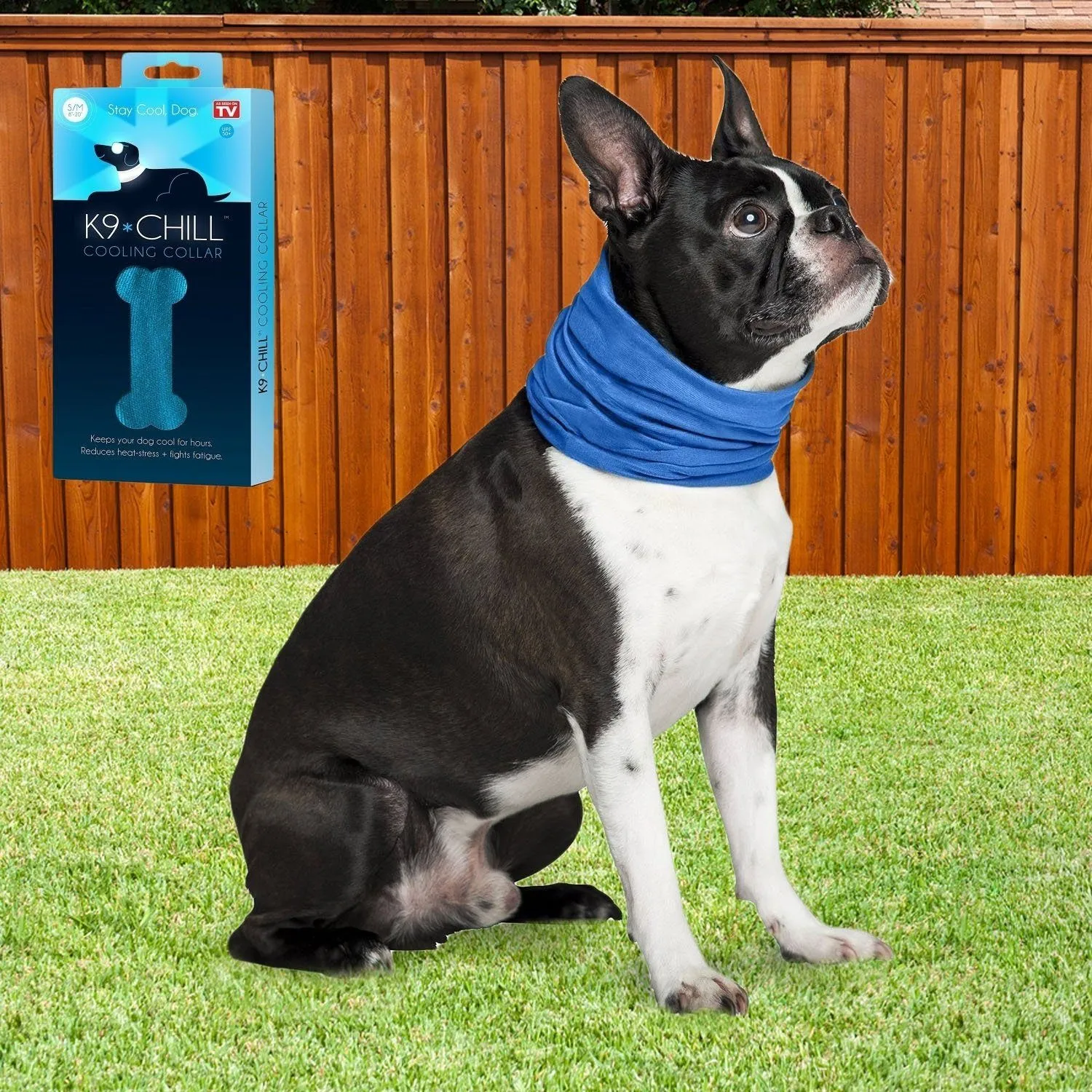 K9 Chill Dog Cooling Collar