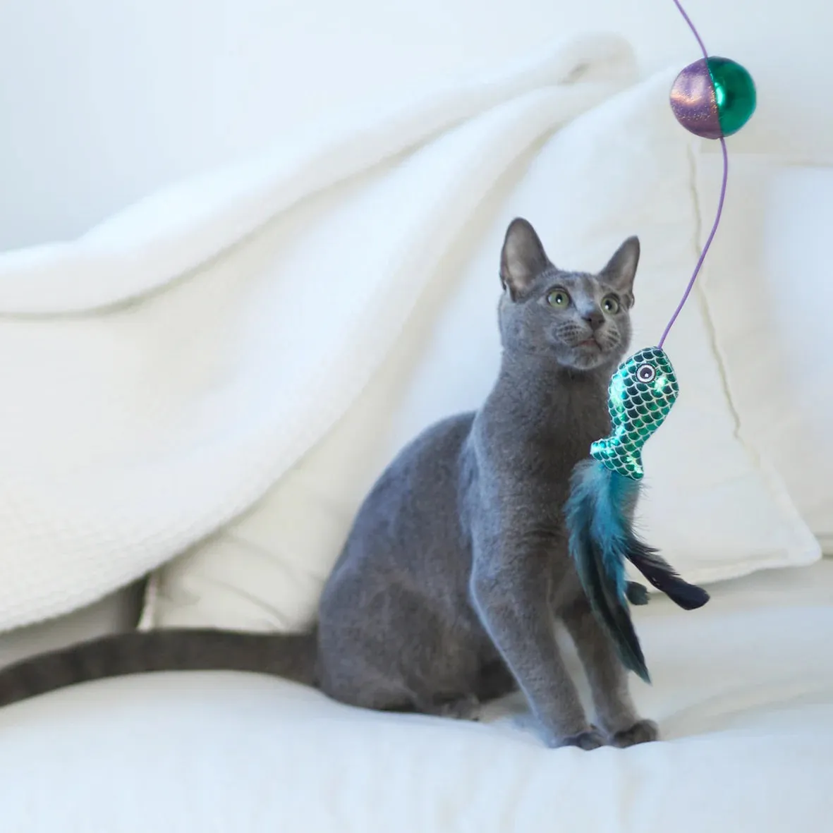 Kazoo Ripple Fish Wand Cat Toy