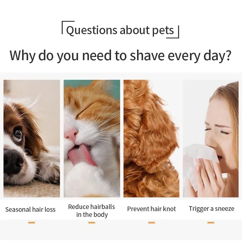 Love and Care for Your Feline Friend: Cat Grooming Brush - A Gentle and Effective Tool for a Lustrous Coat!