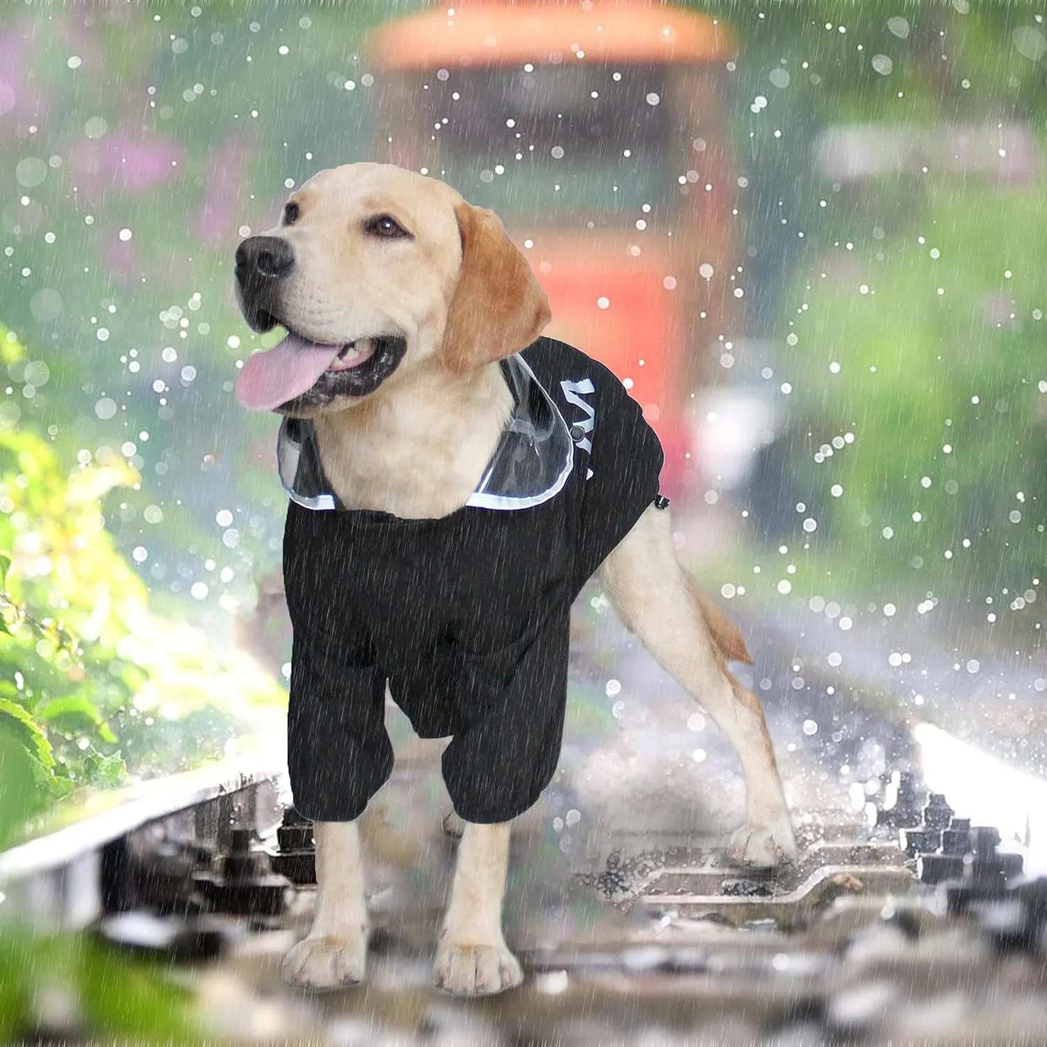Mamore Dog Raincoat with Clear Hood, 2-Leg Adjustable Jacket, Bottom Waterproof, Reflective Stripe for Small to Large Dogs (Orange, X-Large)