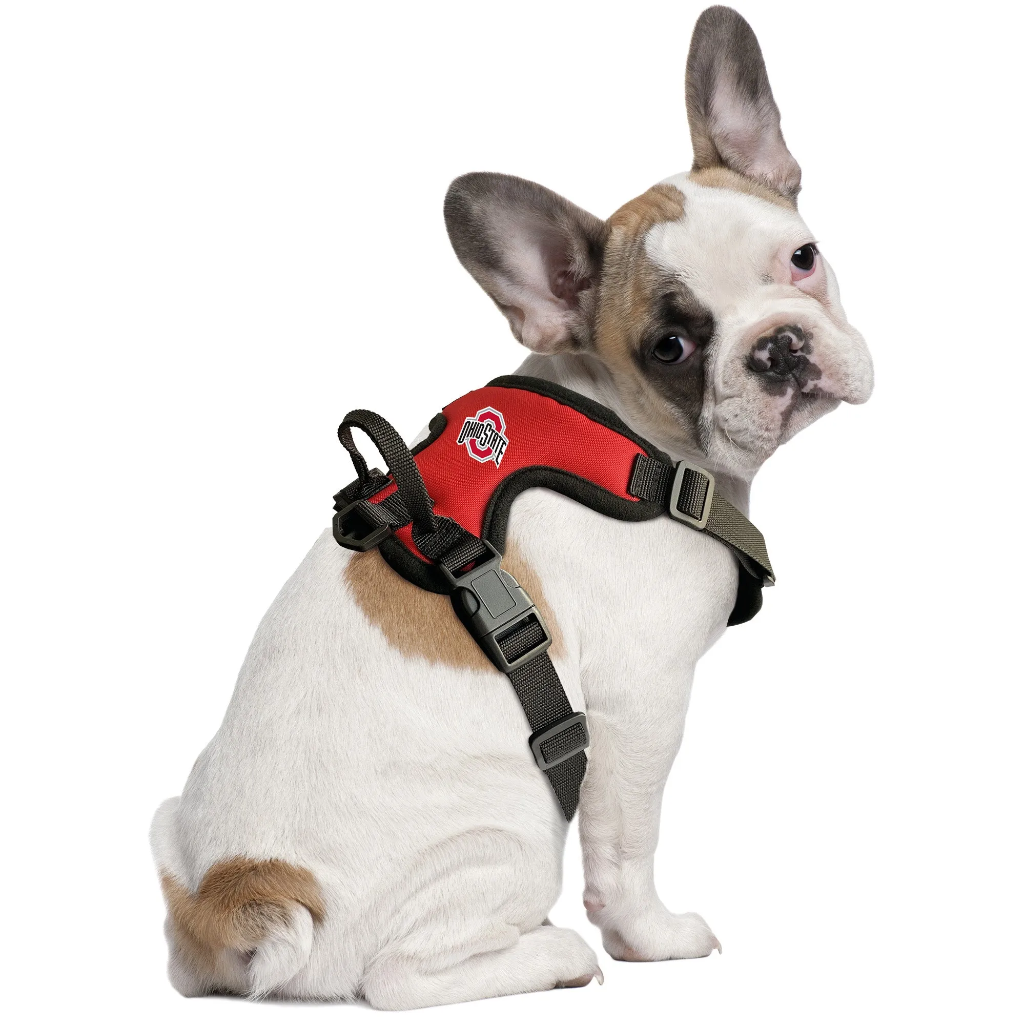 Ohio State University Front Clip Pet Harness