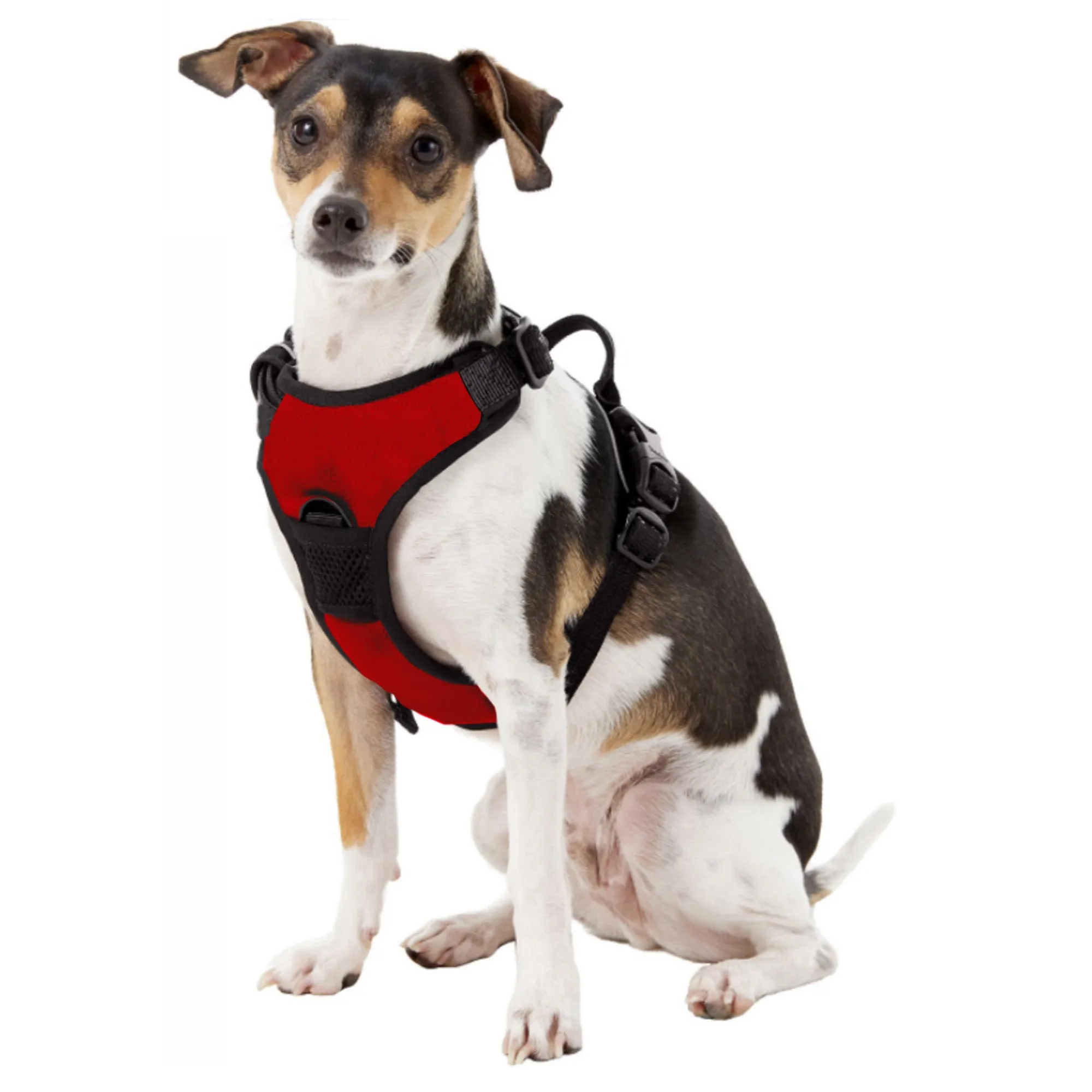 Ohio State University Front Clip Pet Harness