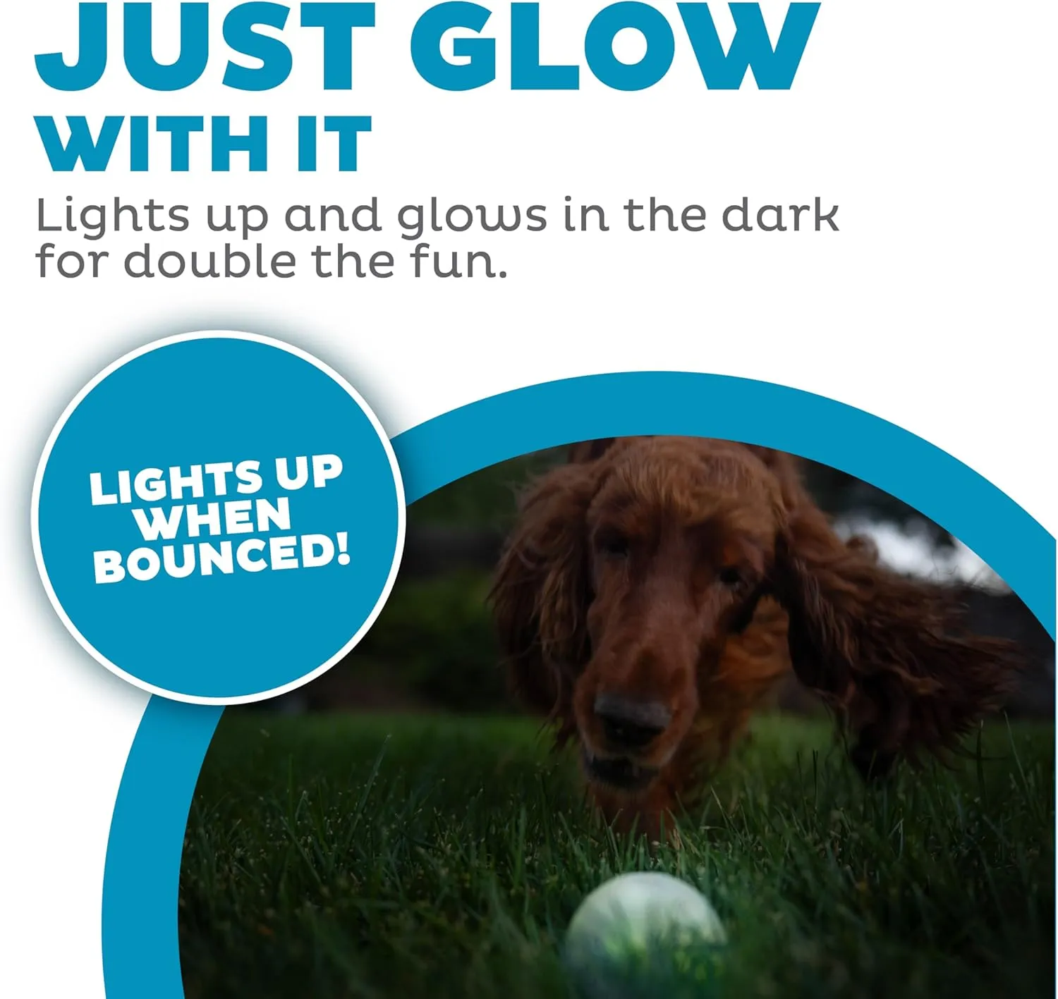 Outward Hound by Planet Dog Strobe Ball Glo Light Up LED Ball Dog Toy