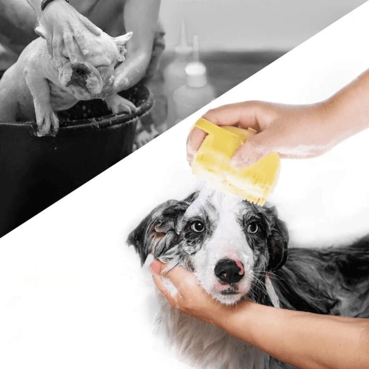Pet Bath Brush – 2-in-1 Silicone Brush with Shampoo Dispenser, Gentle Massage Bristles, and Comfortable Non-Slip Grip for Easy Grooming and Bathing