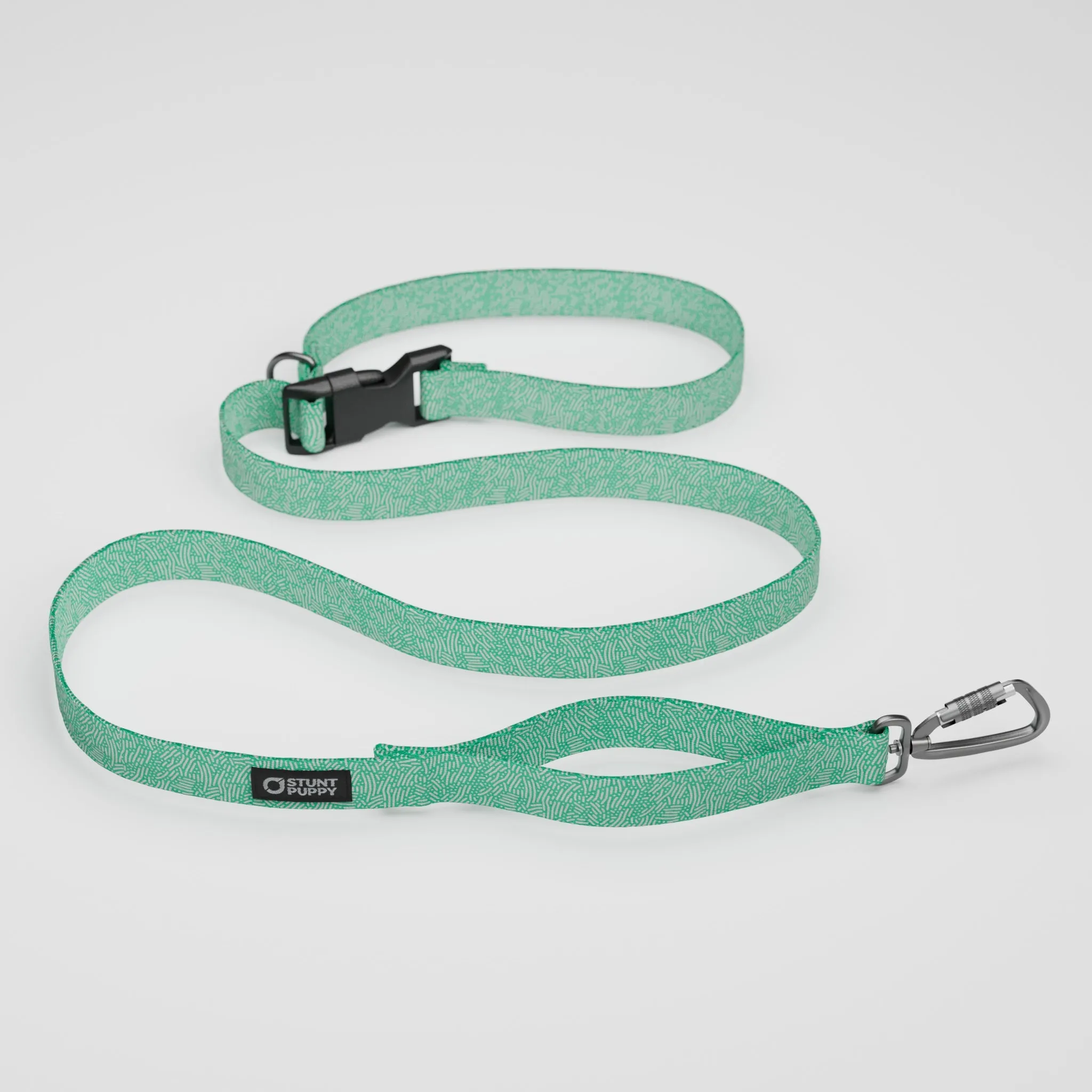 Petri Jade Everyday Leash™