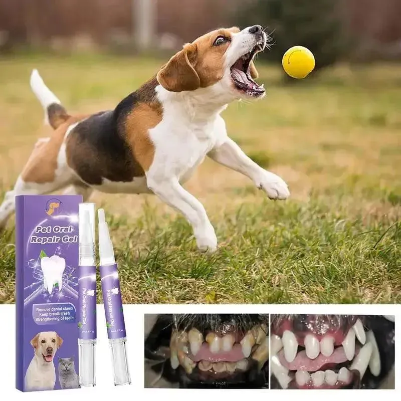 Pets Teeth Cleaning Gel Dog Tartar Remover Teeth Stains Removal Gel Pet Oral Care Dental Stones Scraper Cleaning Care Tools