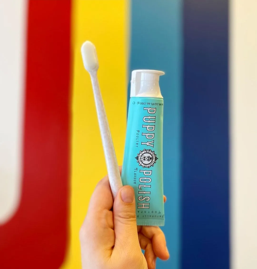 Puppy Polisher Eco Toothbrush
