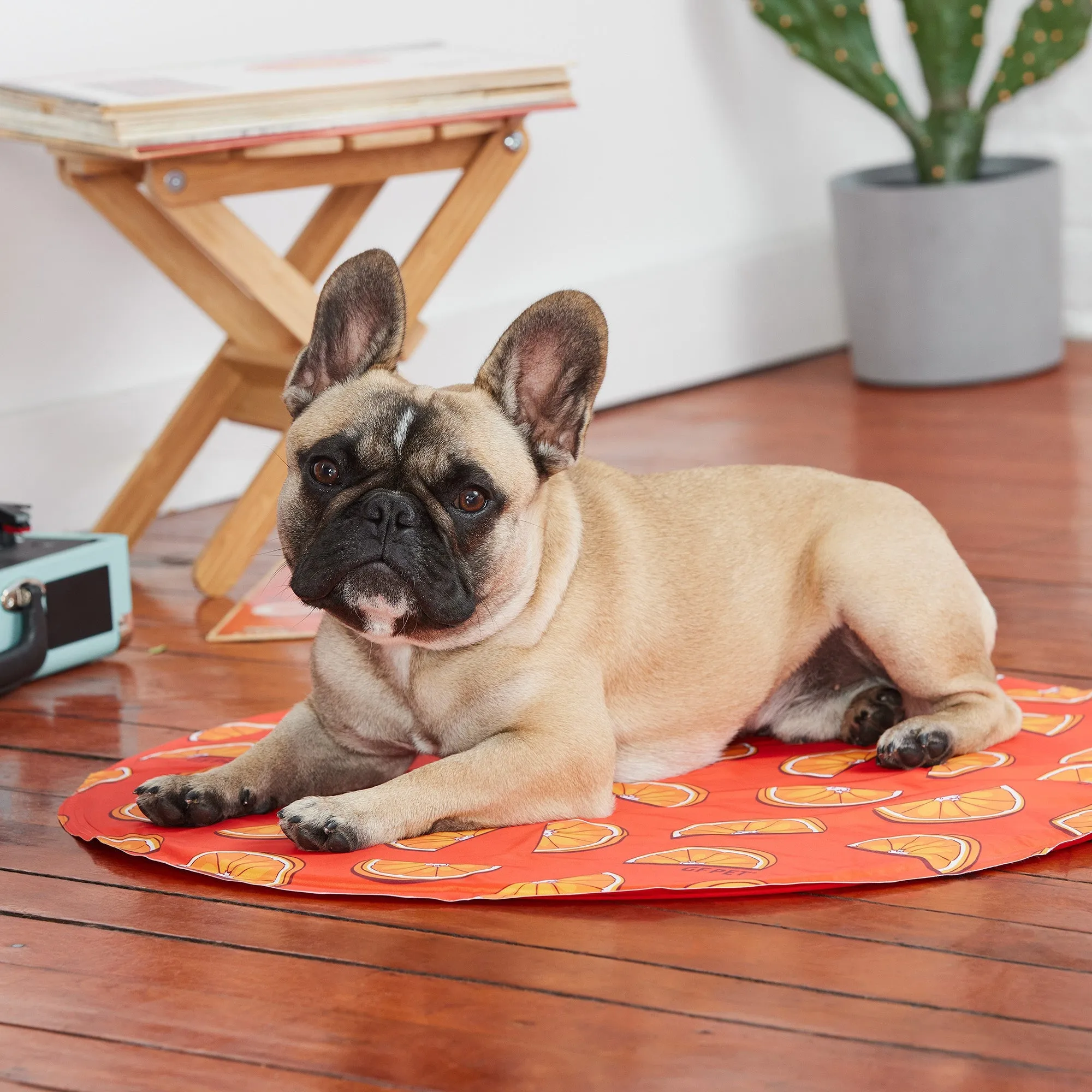 round orange ice mat