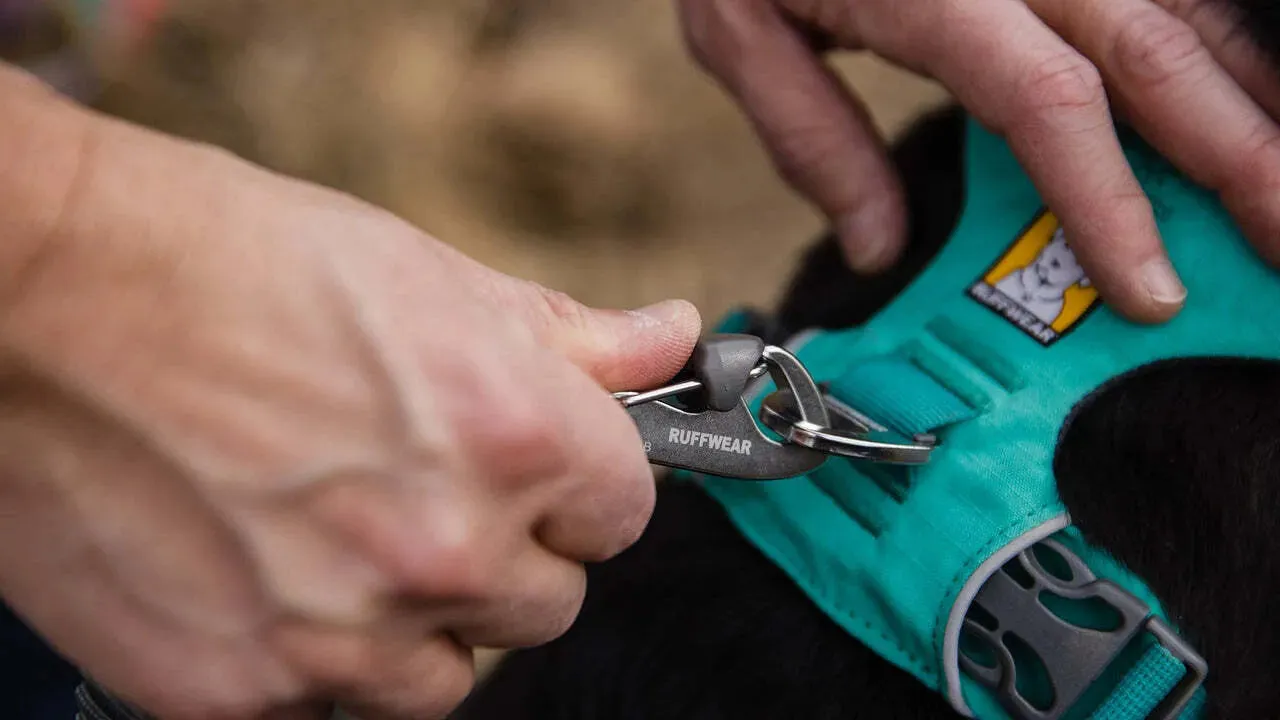 Ruffwear Front Range® Dog Lead