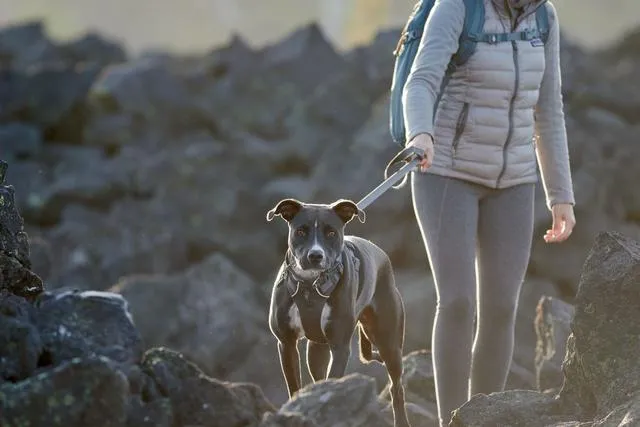 Ruffwear Front Range® Dog Lead