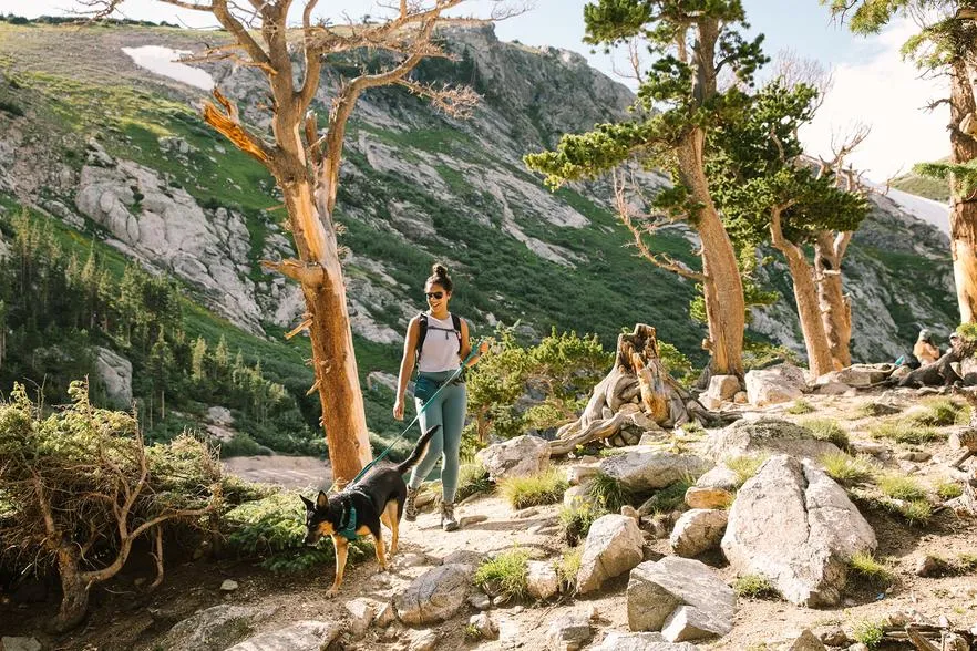 Ruffwear Front Range® Dog Lead