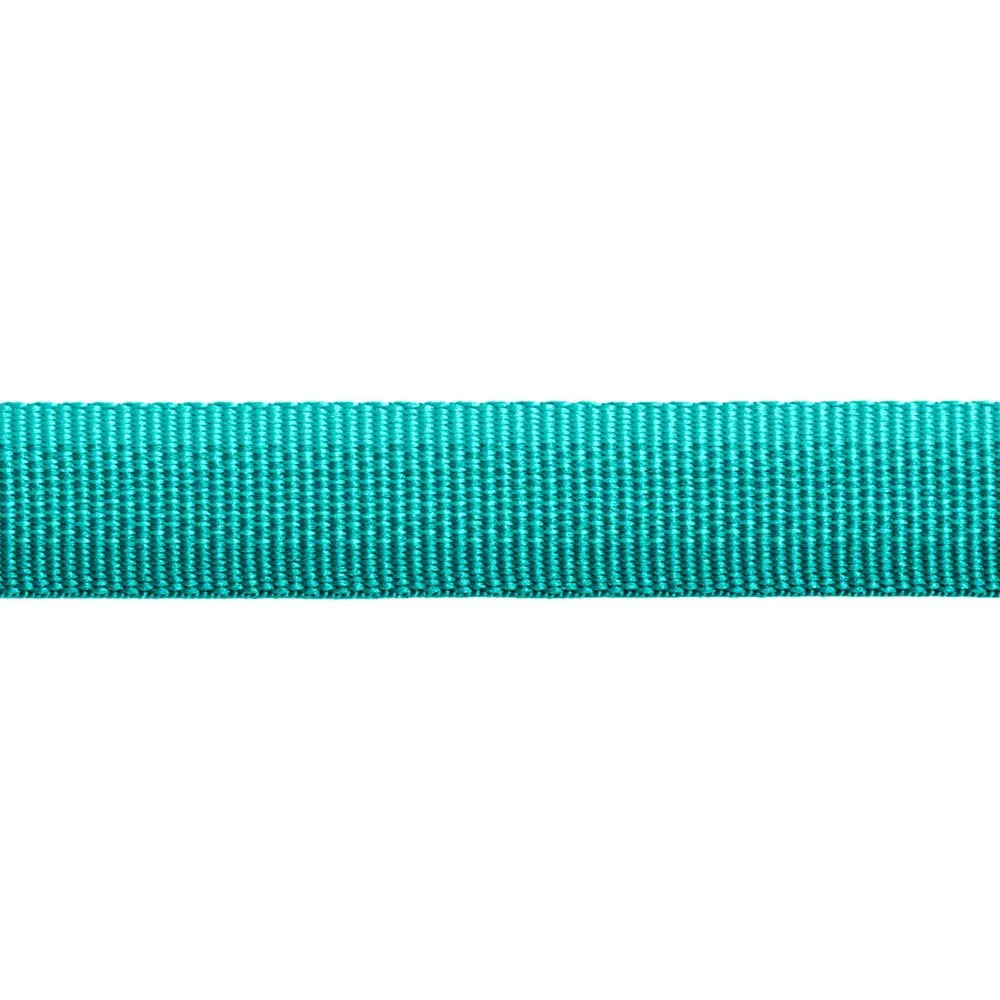 Ruffwear Front Range Ombré Lightweight Dog Leash (Aurora Teal)