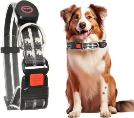 Safety Led Dog Leash for Night Walking - Glow in The Dark - Water Resistant Nylon Webbing - Lightweight and Heavy Duty - USB Rechargeable - RGB Color Changing - Suitable for All Dogs (Black)