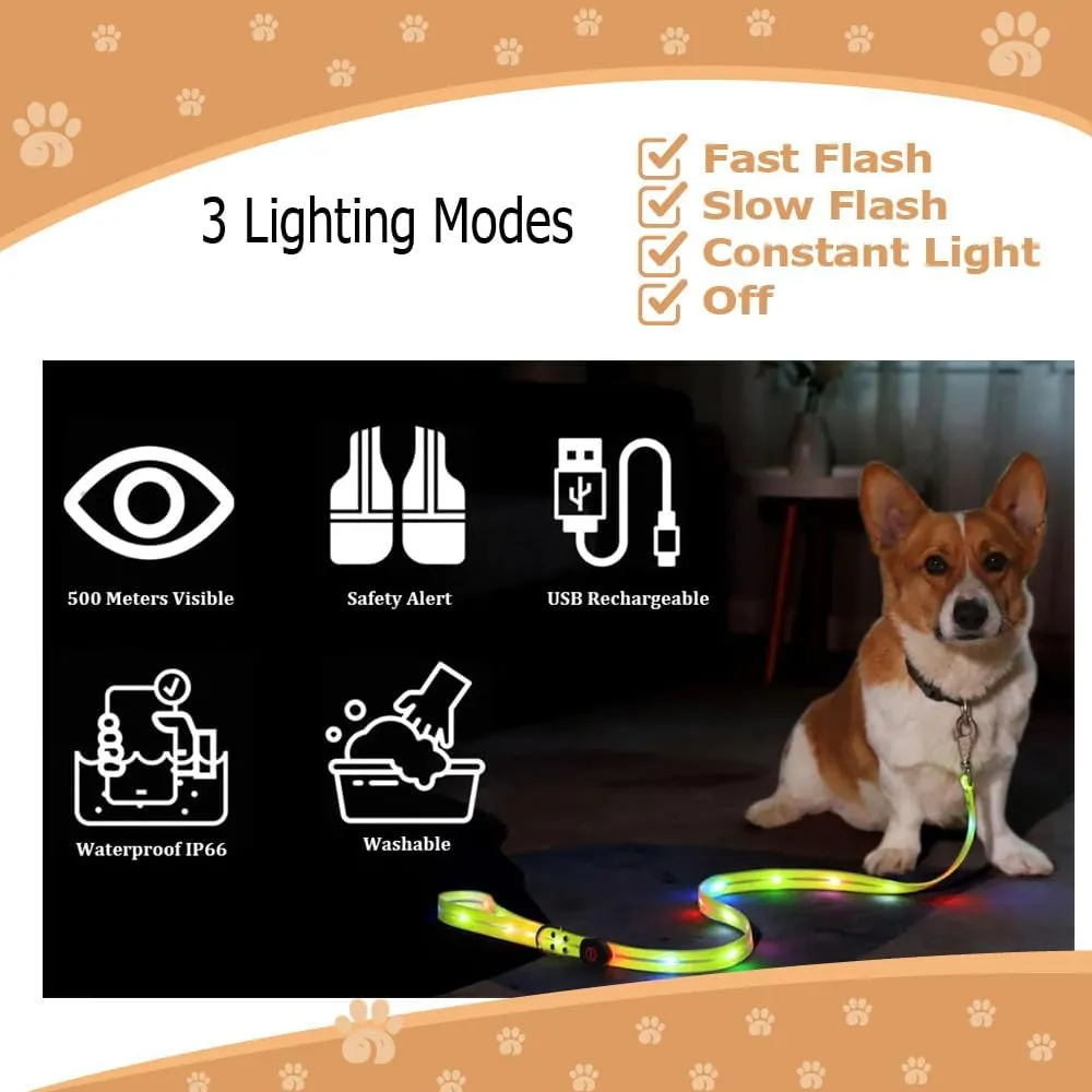 Safety Led Dog Leash for Night Walking - Glow in The Dark - Water Resistant Nylon Webbing - Lightweight and Heavy Duty - USB Rechargeable - RGB Color Changing - Suitable for All Dogs (Black)