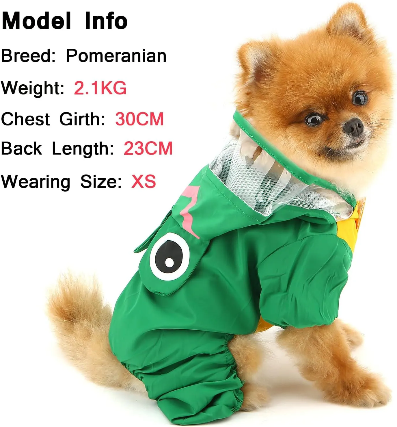 SMALLLEE_LUCKY_STORE Cute Frog Raincoat for Small Dogs with Clear Hoood Leash D-Ring Puppy Botton Down Rain Jacket Full Boby 4 Leg Jumpsuit Lightweight Waterproof Clothes,Green M