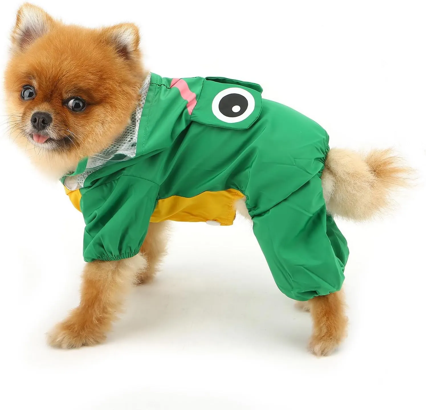 SMALLLEE_LUCKY_STORE Cute Frog Raincoat for Small Dogs with Clear Hoood Leash D-Ring Puppy Botton Down Rain Jacket Full Boby 4 Leg Jumpsuit Lightweight Waterproof Clothes,Green M
