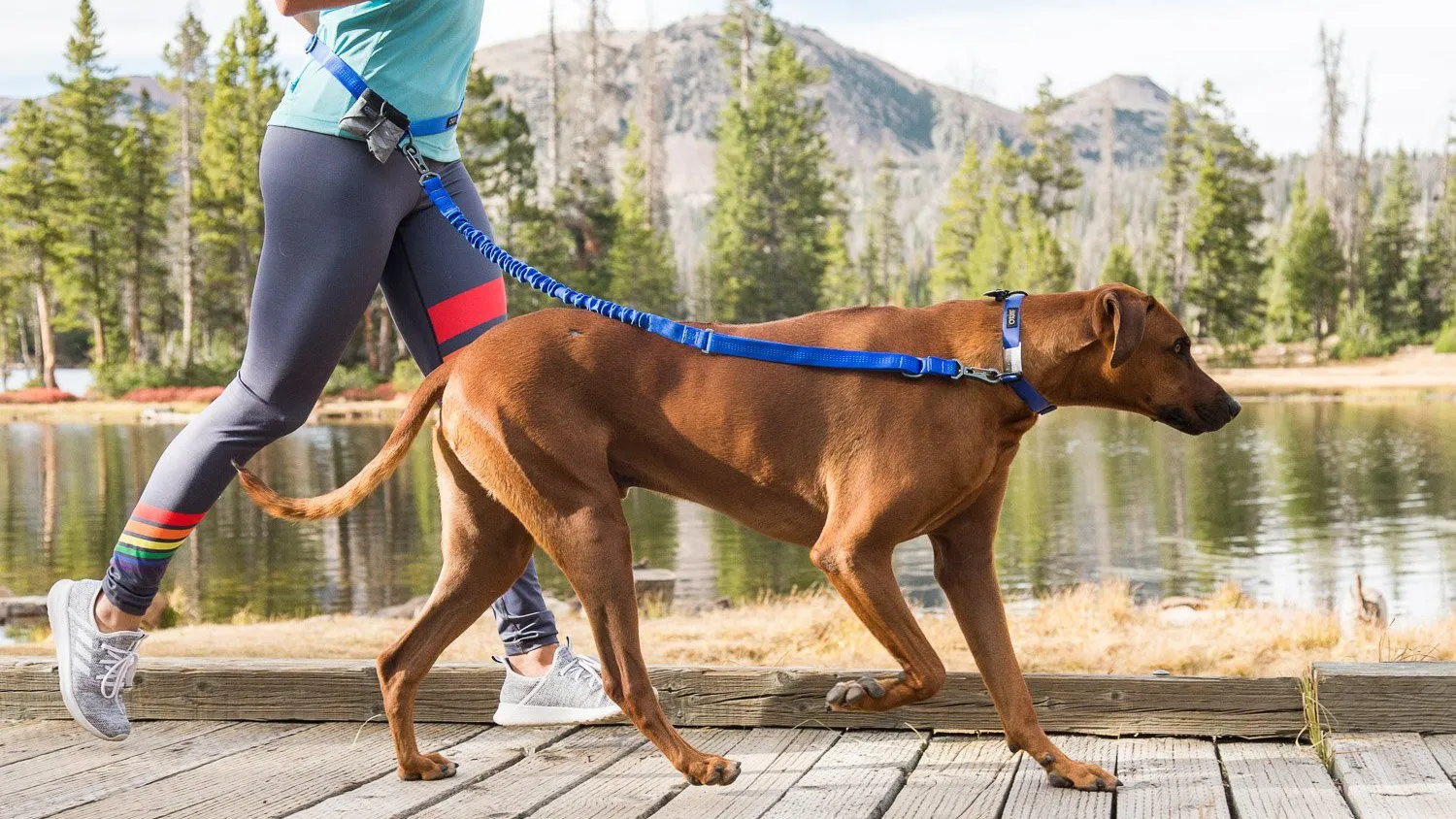 Stunt Puppy Stunt Runner Dog Leashes