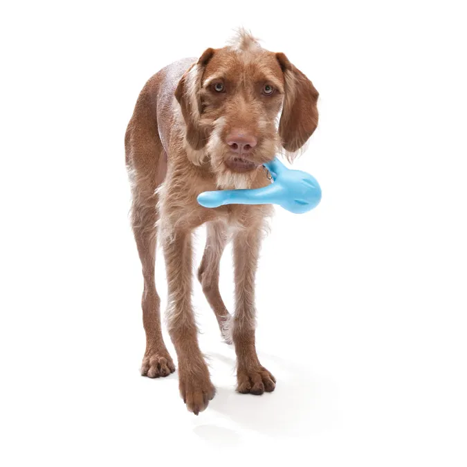Tizzi® Treat Fetch Dog Toy - Large