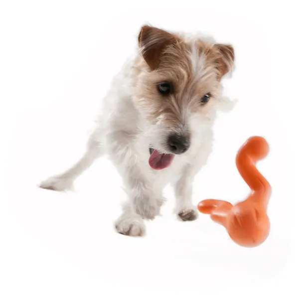 Tizzi® Treat Fetch Dog Toy - Large