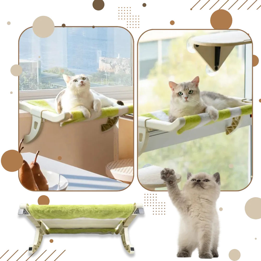 Tool-Free Cat Bed & Window Perch