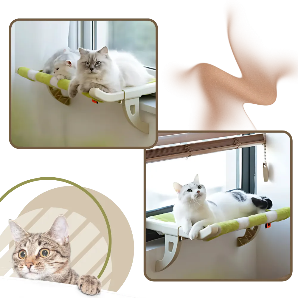 Tool-Free Cat Bed & Window Perch