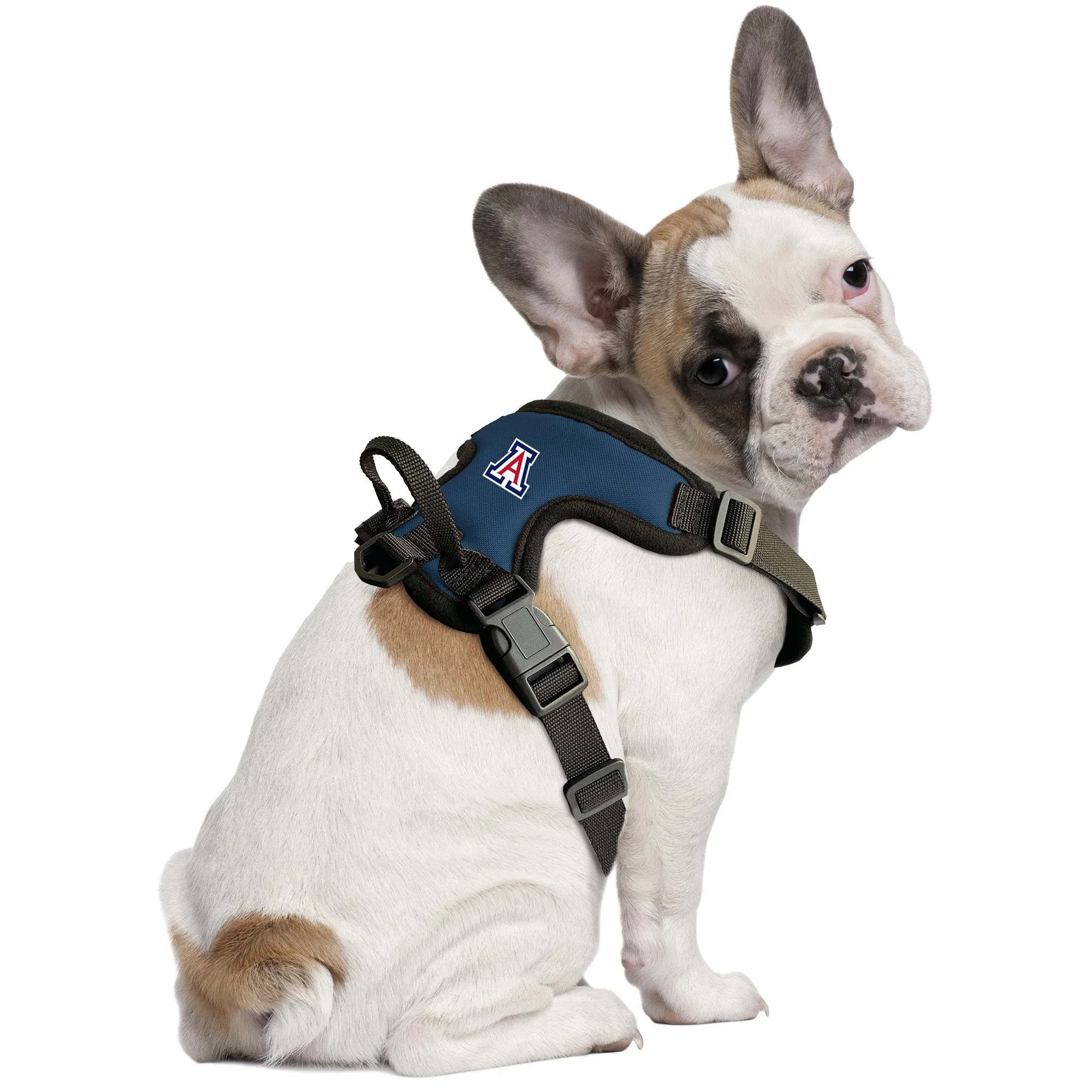 University of Arizona Front Clip Pet Harness