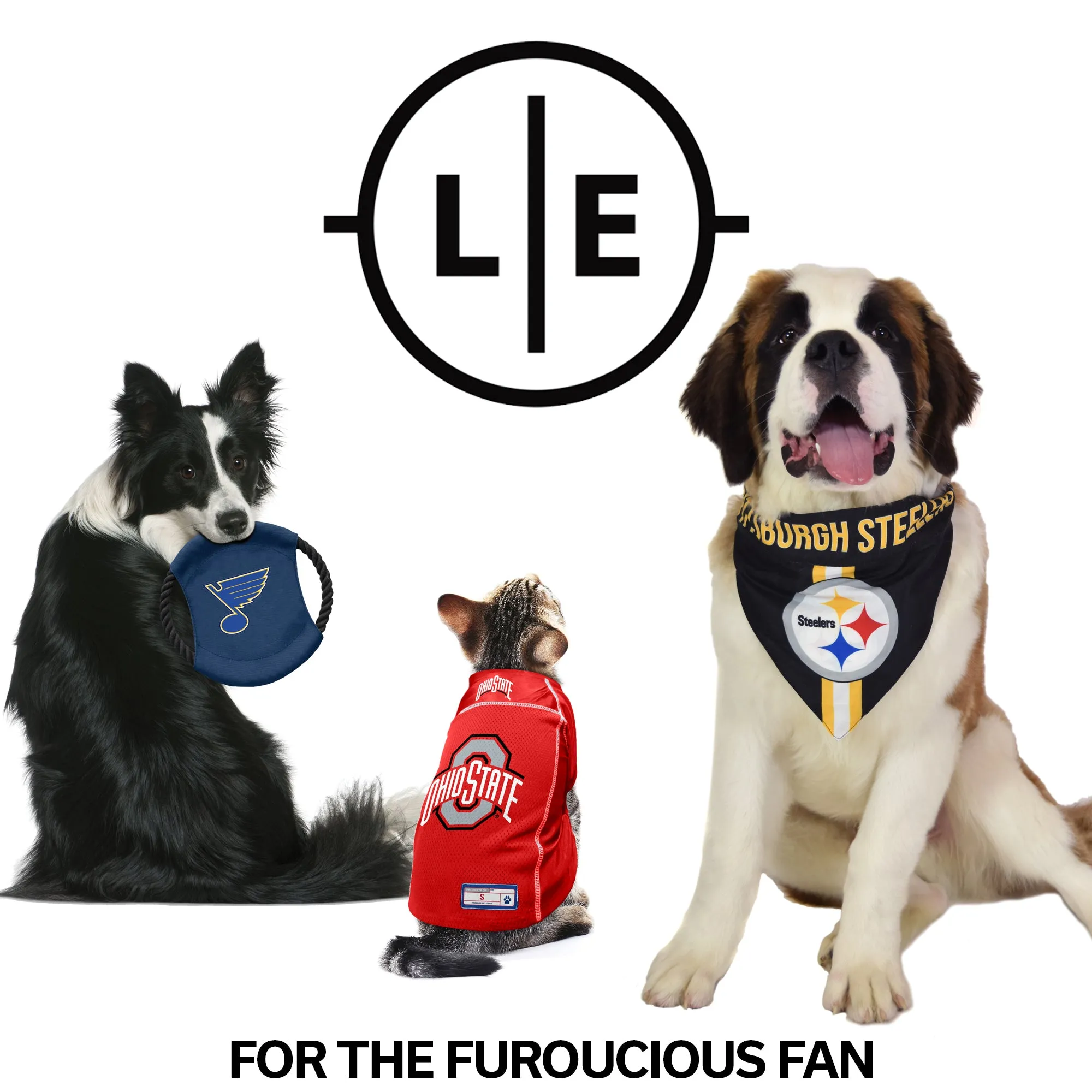 University of Iowa Front Clip Pet Harness